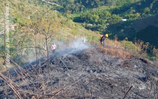 incendios forestales